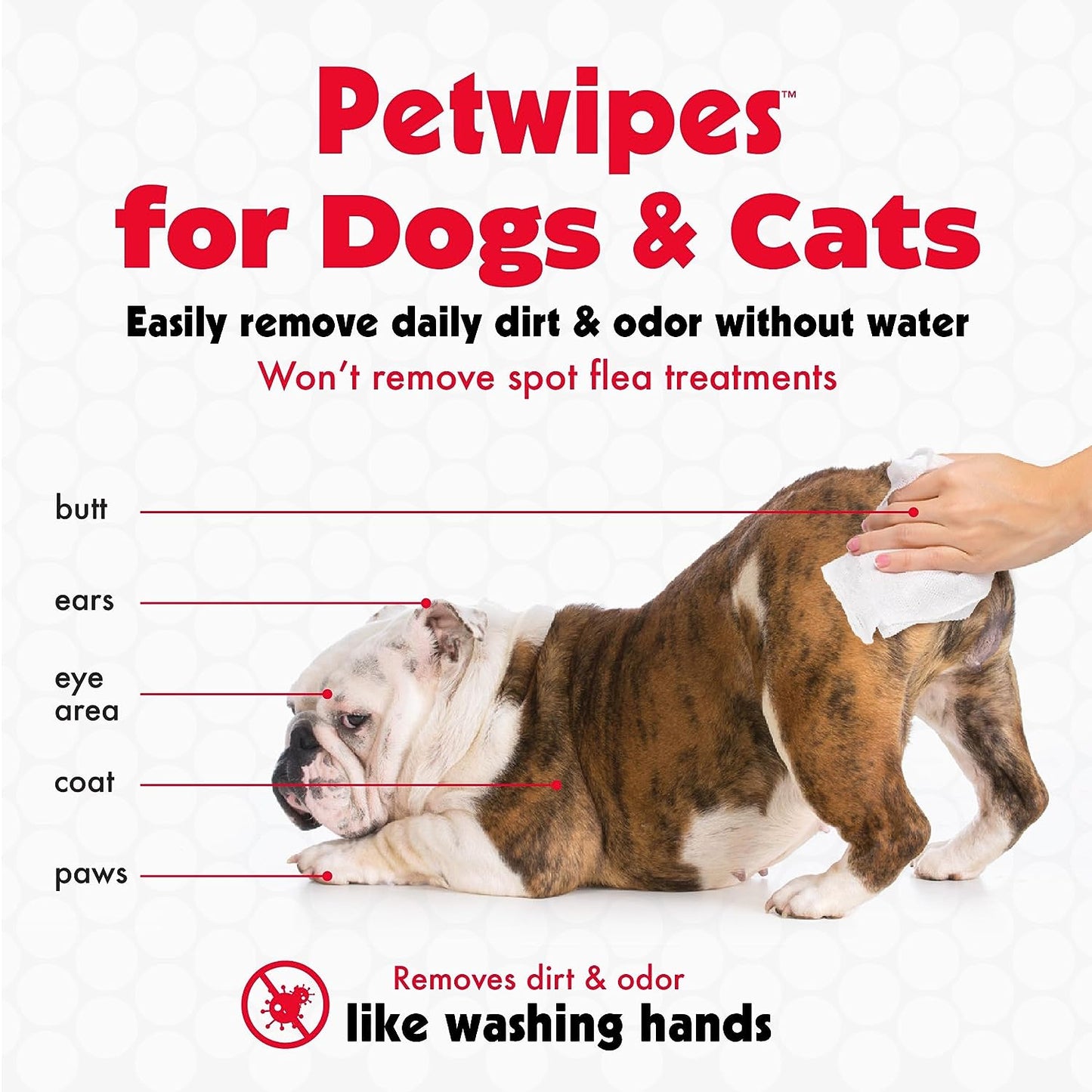 Pet Wipes for Dogs and Cats, 100 Large Wipes - Removes Dirt & Odor like Washing Hands - Cleans Ears, Face, Butt, Eye Area - Convenient, Ideal for Home or Travel - 1 Pack of 100 Wipes